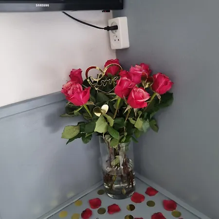 杜普伊斯酒店 酒店 法尔肯堡